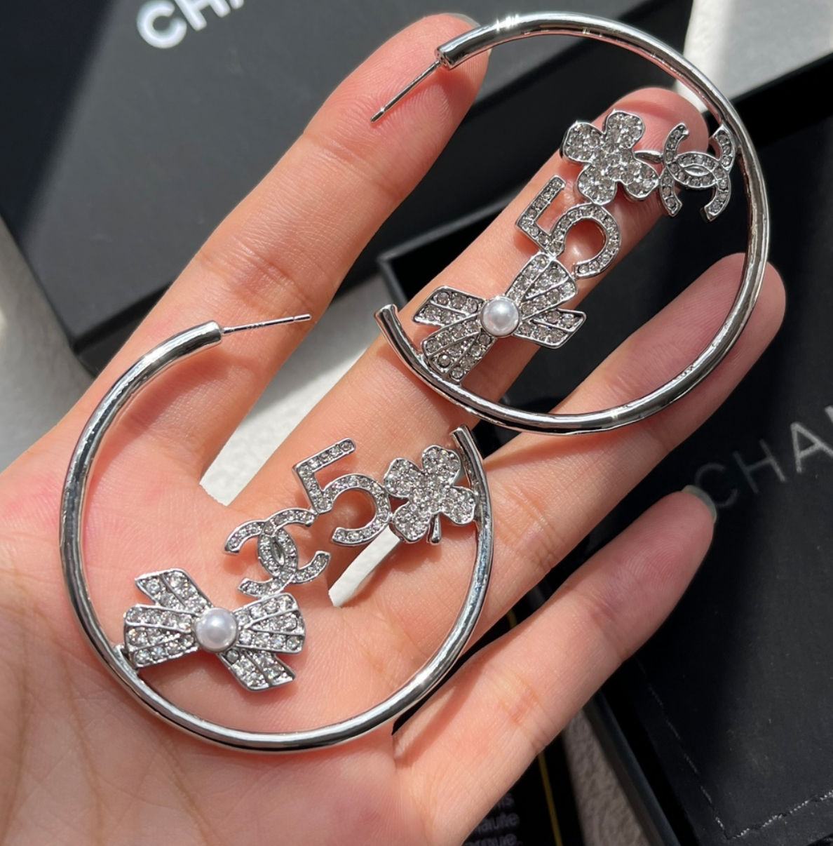 High Quality Luxury Hoop Women's Earrings - Silver