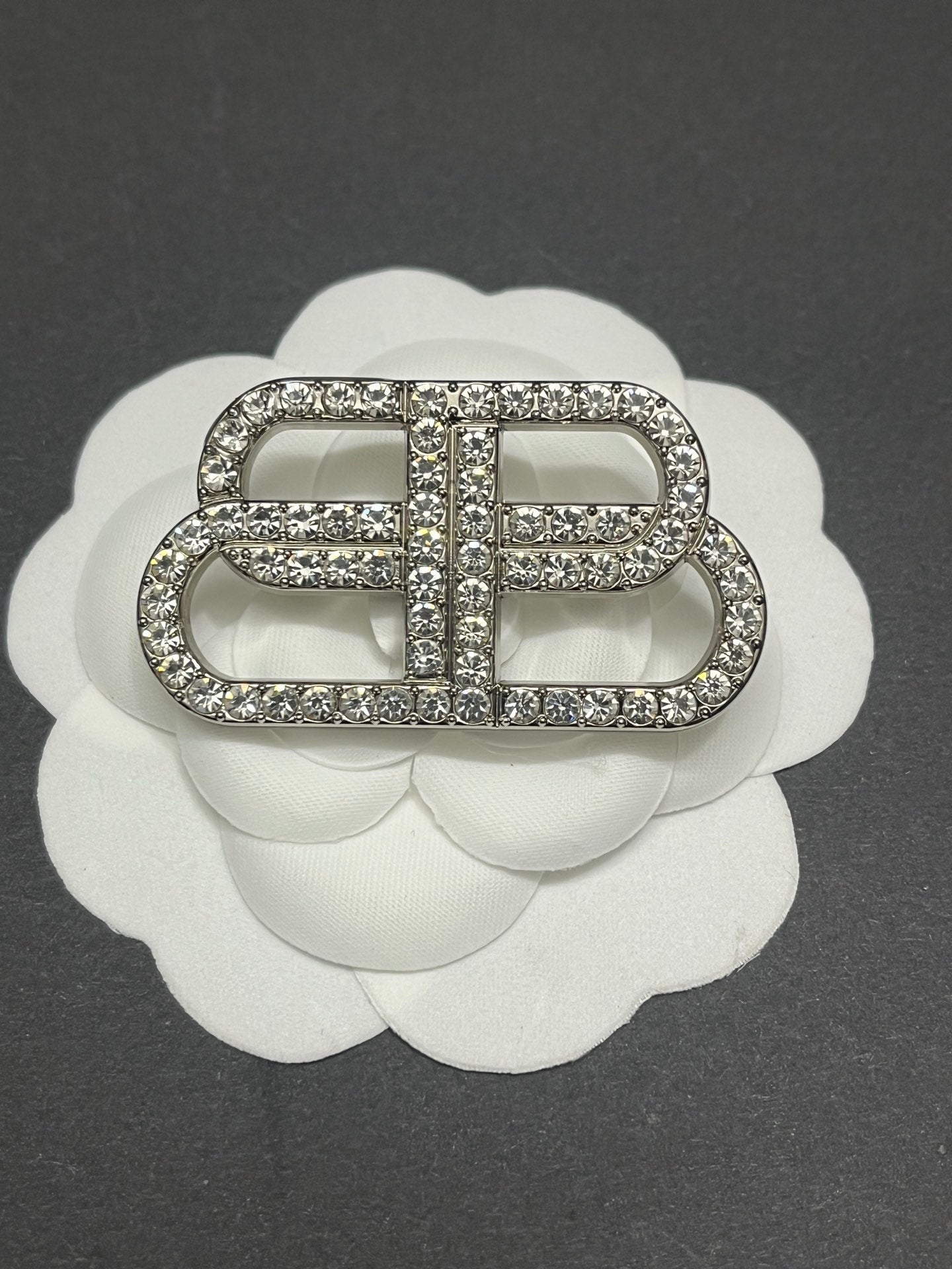 Luxury B.B Silver/Gold Brooch pin