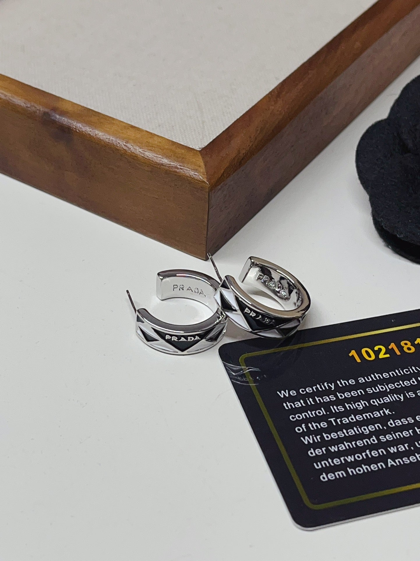 Titanium steel P. Hoop Earrings