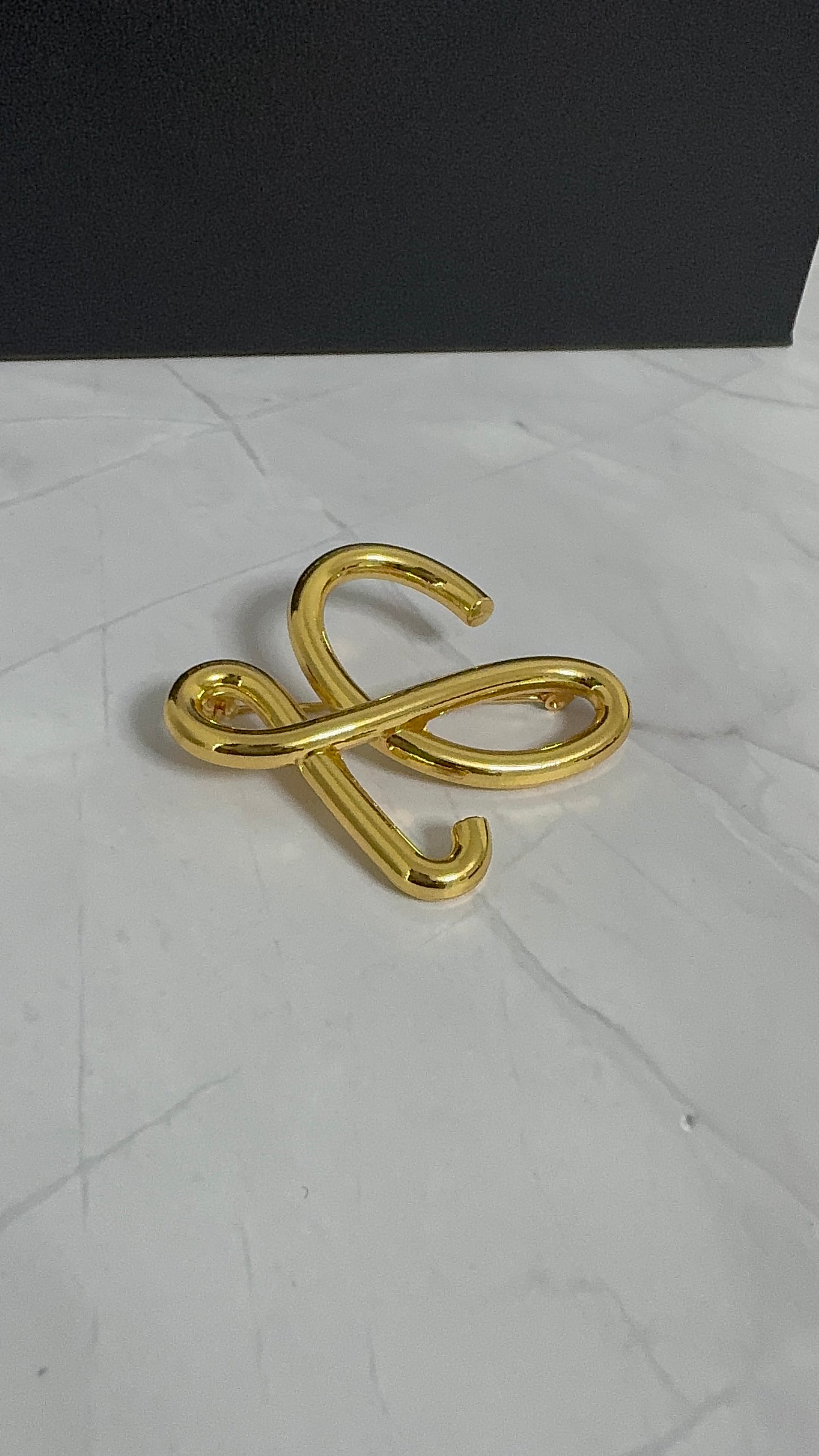 Luxury Loewe Brooch pin