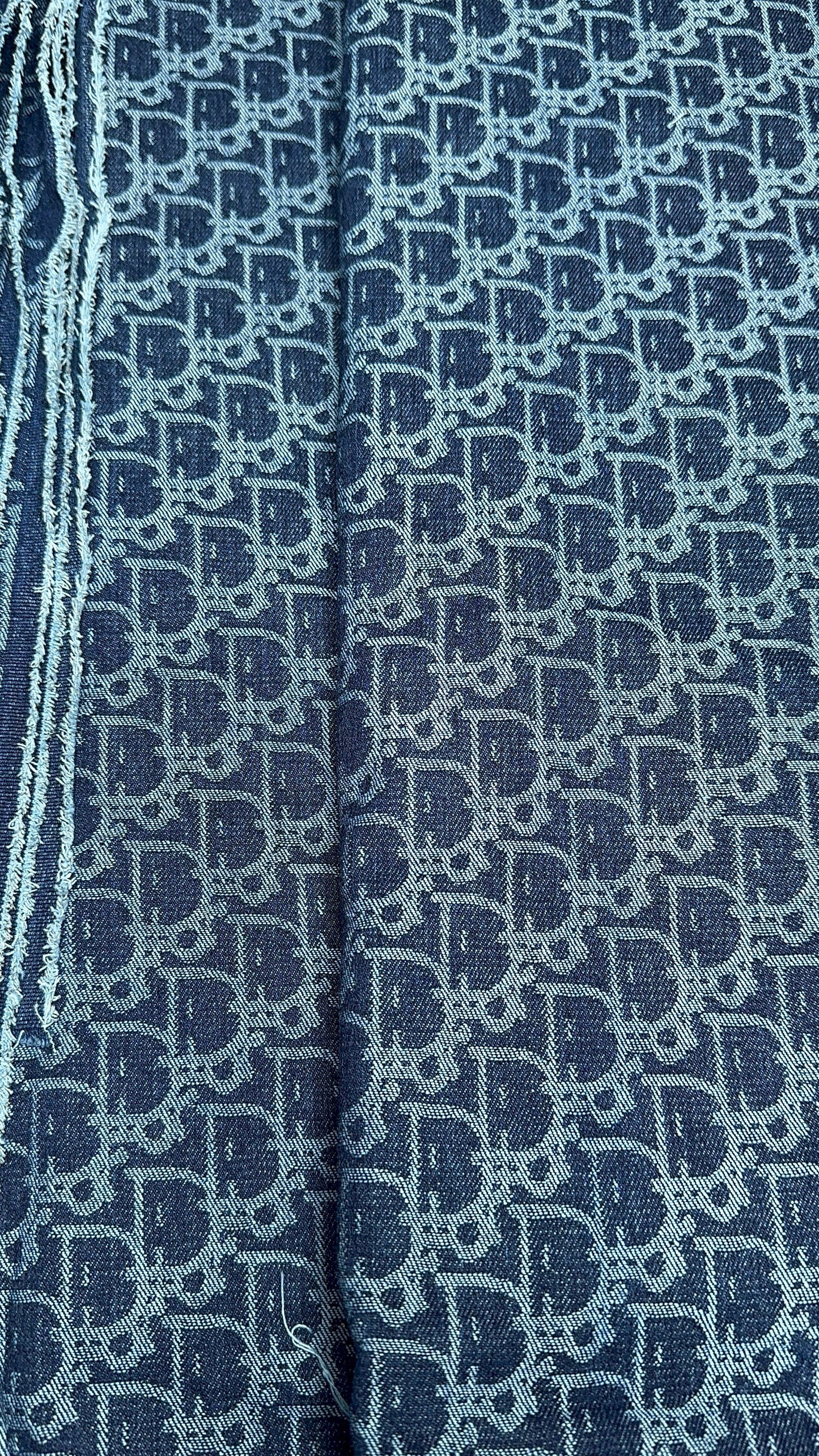 Dior Denim