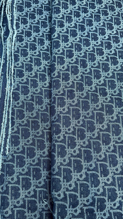 Dior Denim