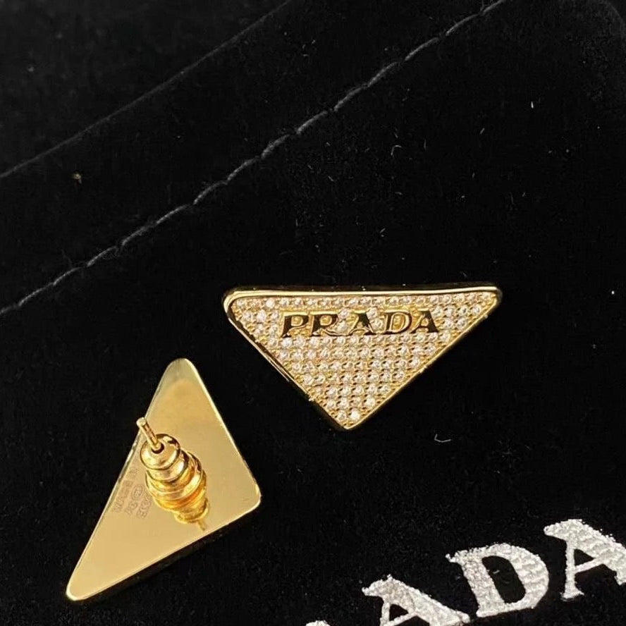 High-End P. Titanium steel Earrings
