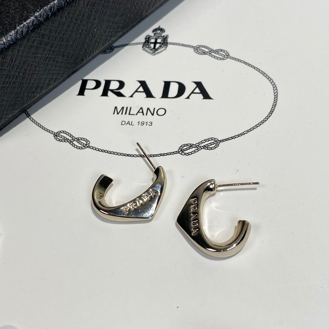 High-End P. Titanium steel Earrings