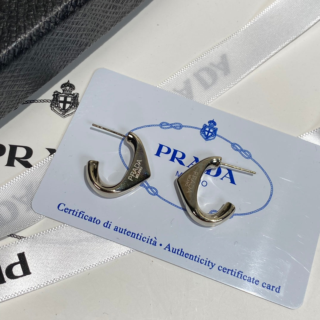 High-End P. Titanium steel Earrings