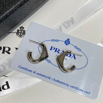 High-End P. Titanium steel Earrings