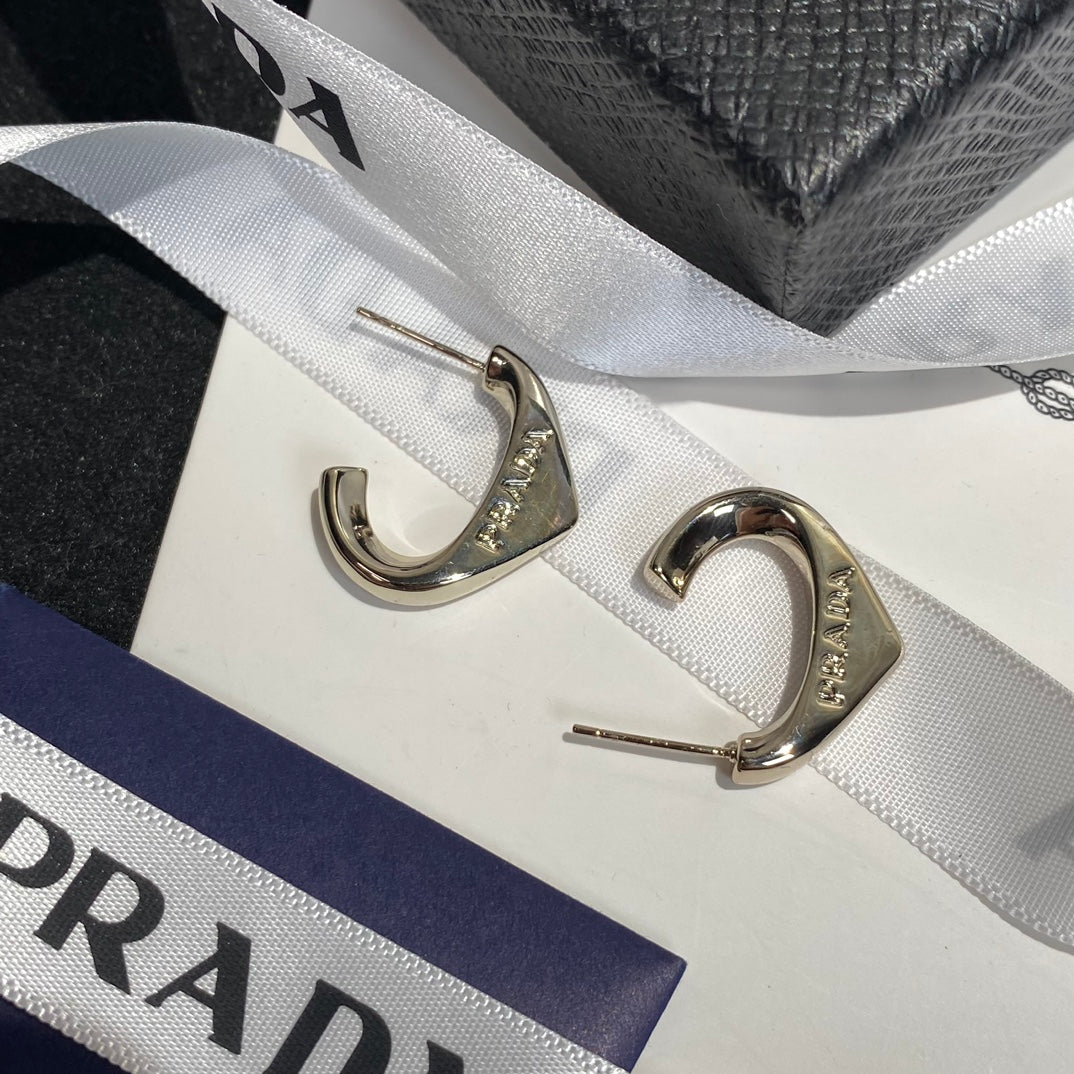 High-End P. Titanium steel Earrings
