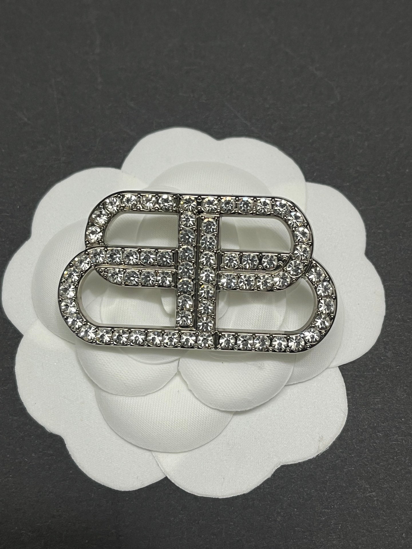 Luxury B.B Silver/Gold Brooch pin