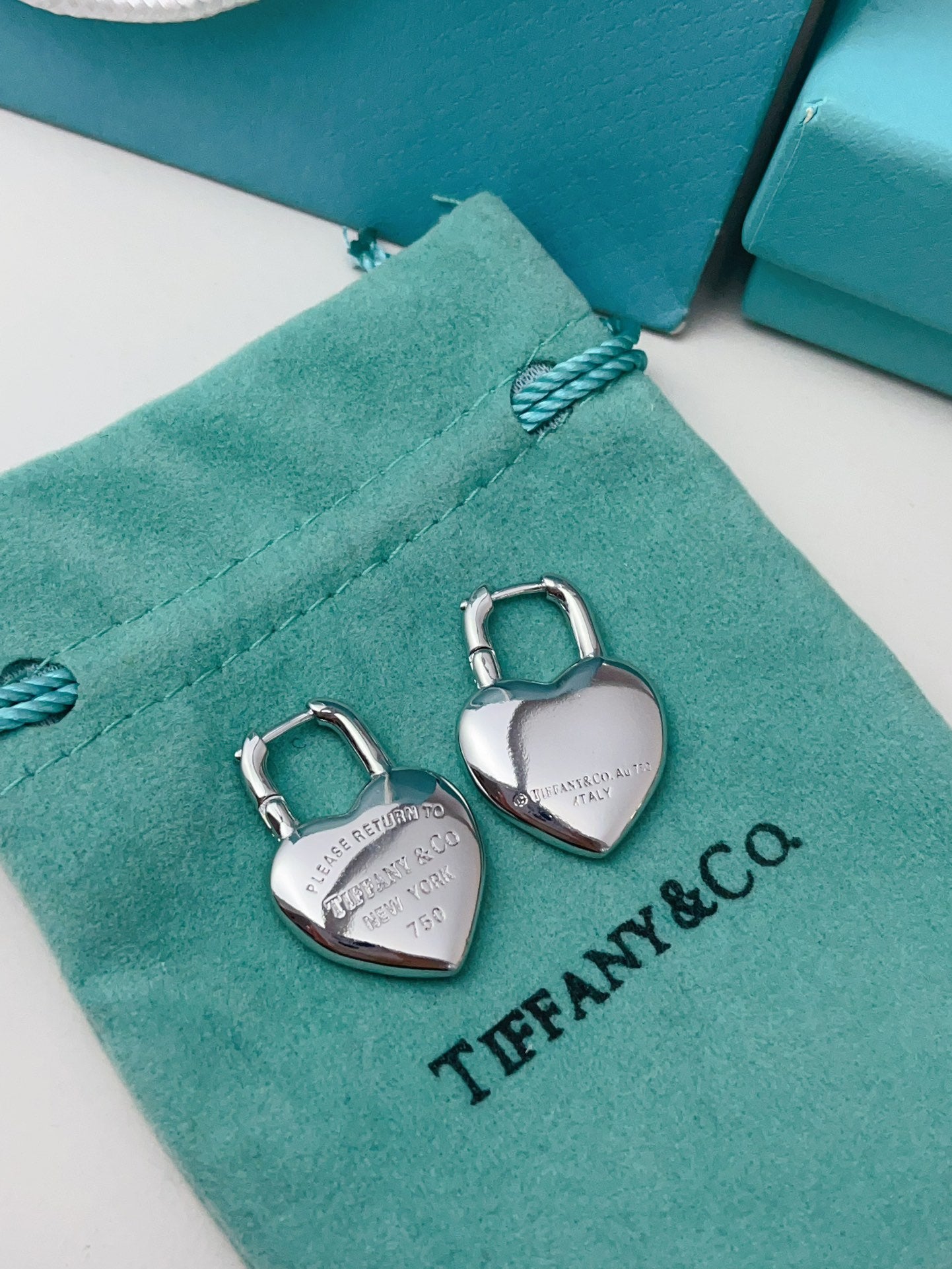 High Quality Titanium Steel T-Family Earrings