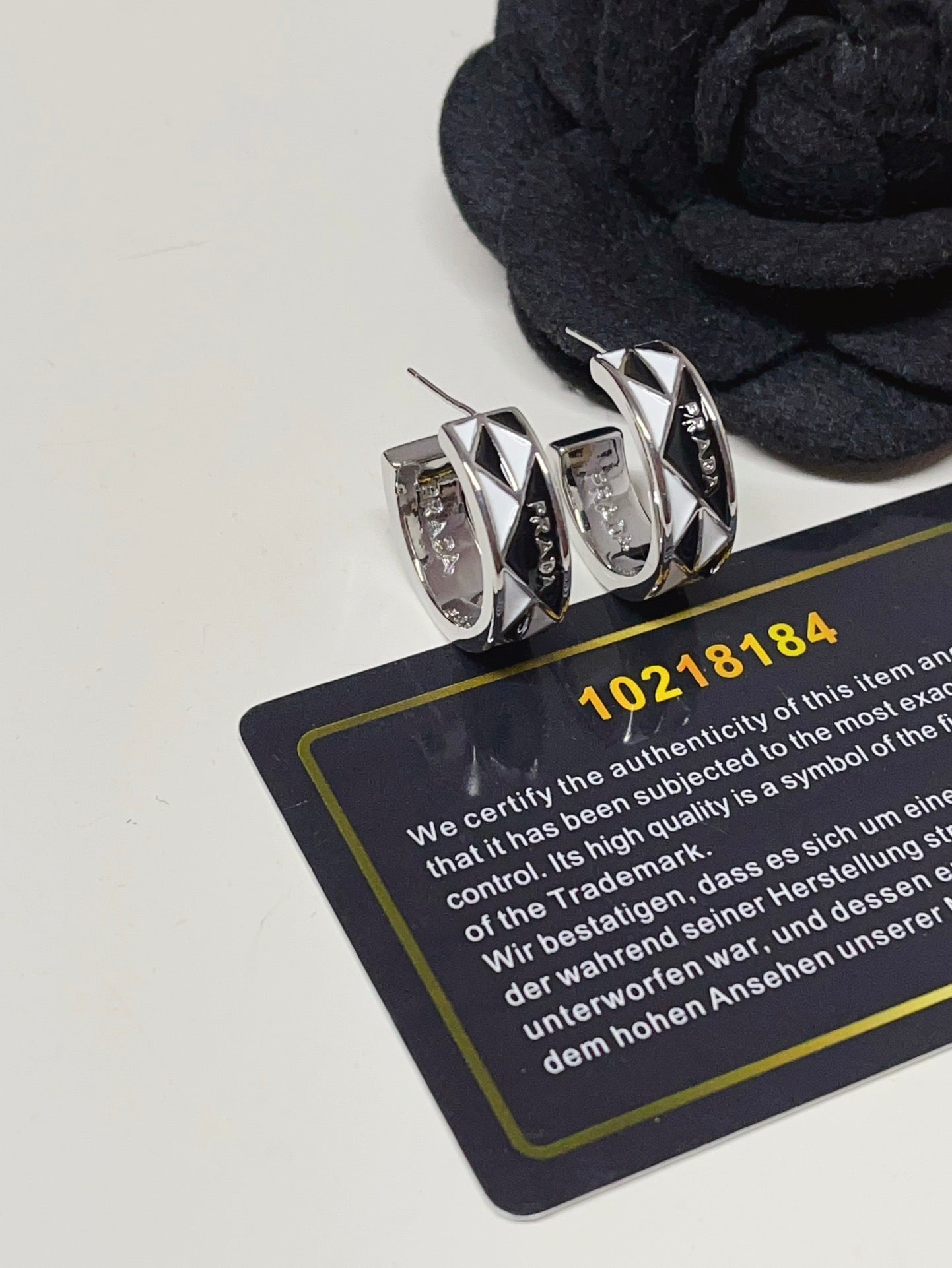 Titanium steel P. Hoop Earrings
