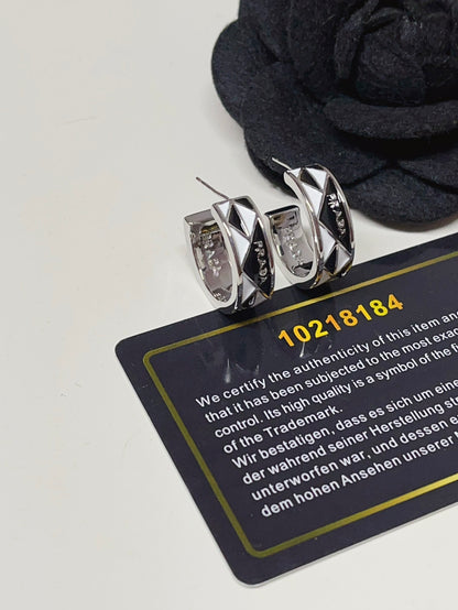Titanium steel P. Hoop Earrings