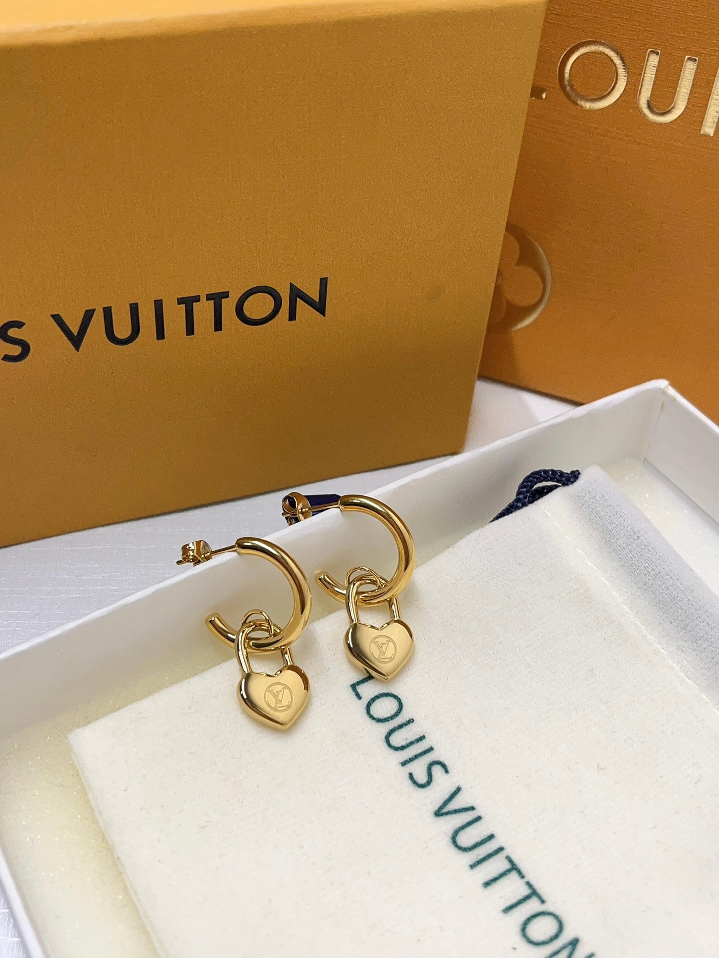 L.V Inspired Titanium Steel Earrings